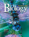 cover_biology_dragonfly.jpg